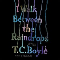 I_Walk_Between_the_Raindrops